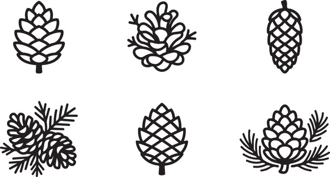 Set of six different pine cones and pine branches illustration Vector