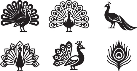 Black and white peacock feather and bird vector illustrations set Vector © rohan