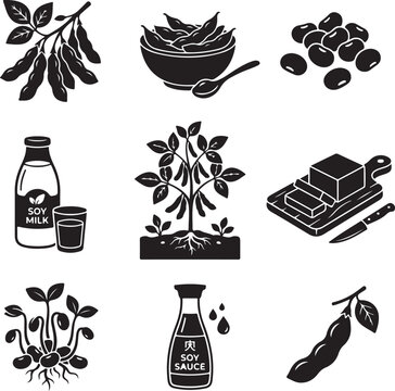 Soybean plant and soy products icon set, black silhouette soybean pods and tofu vector, organic soy milk and sauce illustrations for food packaging