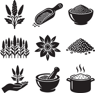 Quinoa plant and grain icons set, black and white superfood vector illustrations, organic cereal crop symbols for healthy food packaging and farming