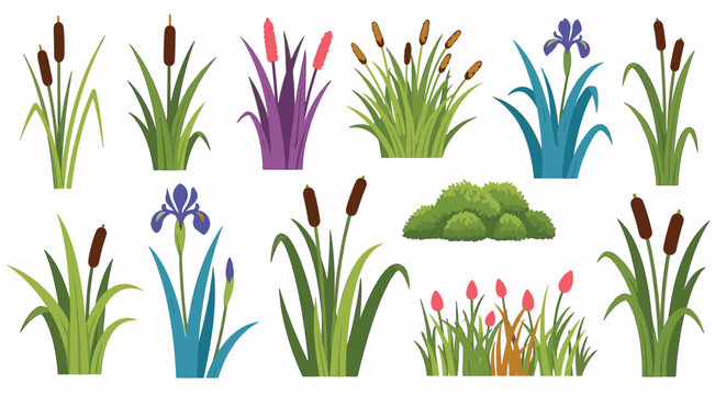 Vector collection of colorful wetland flora featuring brown cattails, blue iris flowers, pink water plants, and green aquatic grasses isolated on a white background for design.