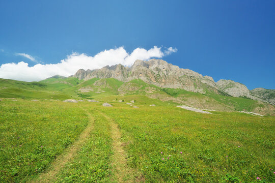 Mountain landscape with a dirt trail winding through a lush green wildflower meadow toward rocky peaks