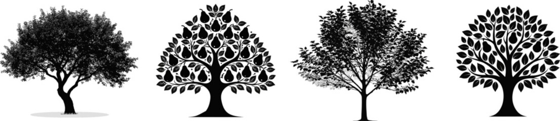 Fototapeta premium A pear tree with an upright oval-shaped canopy stands gracefully against a stark white background, its minimalistic silhouette exuding elegance and simplicity