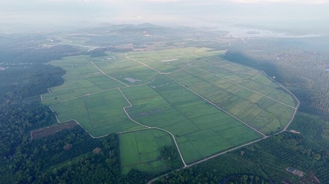 Aerial view of lush green fields divided by paths