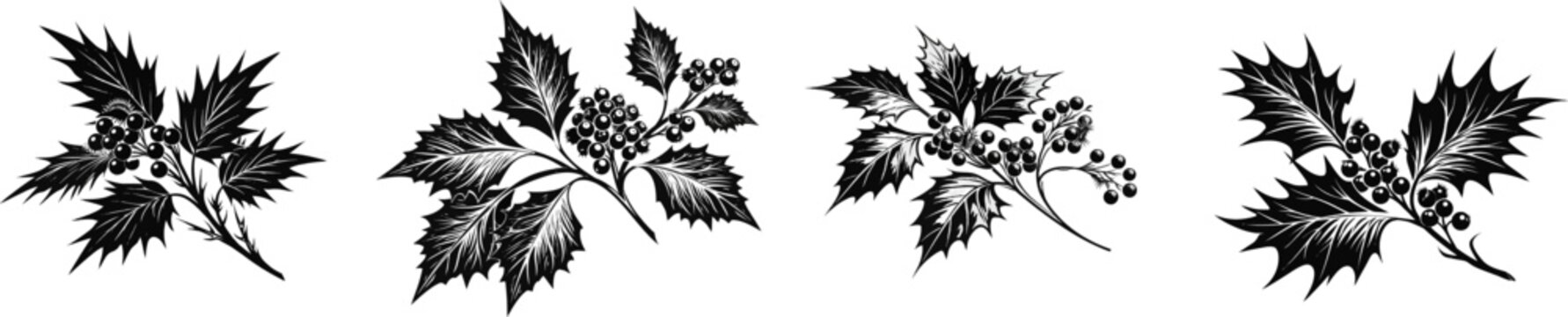 A sharp holly branch with distinctive spiked leaves and small clustered berries is depicted in a crisp black and white vector illustration, isolated on a solid white background