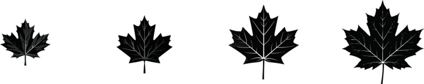 A crisp sugar maple leaf with sharp pointed lobes is depicted in black vector art against a clean white background