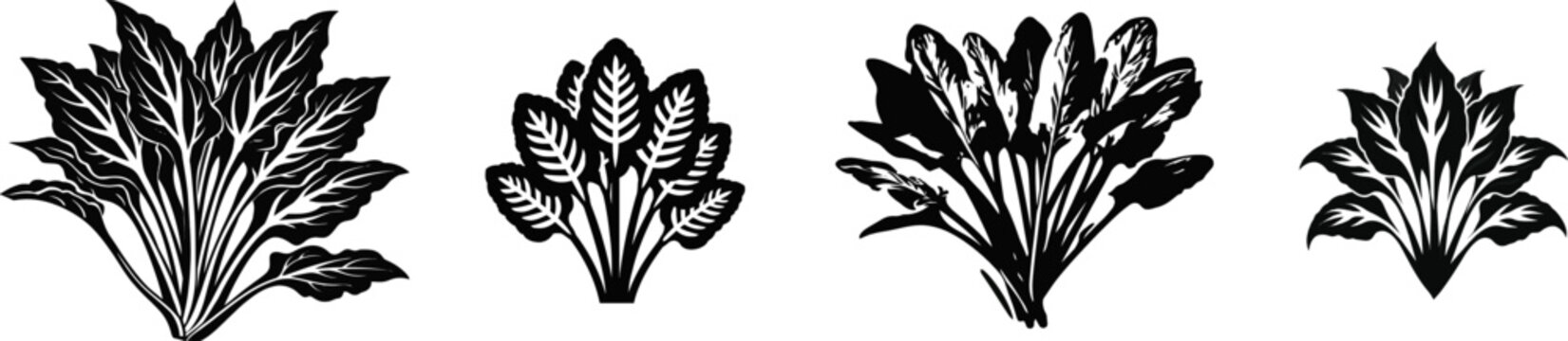 A Sorrel plant features smooth arrow-shaped hastate leaves on long juicy stems, depicted in a flat crisp stencil design against a pure white background