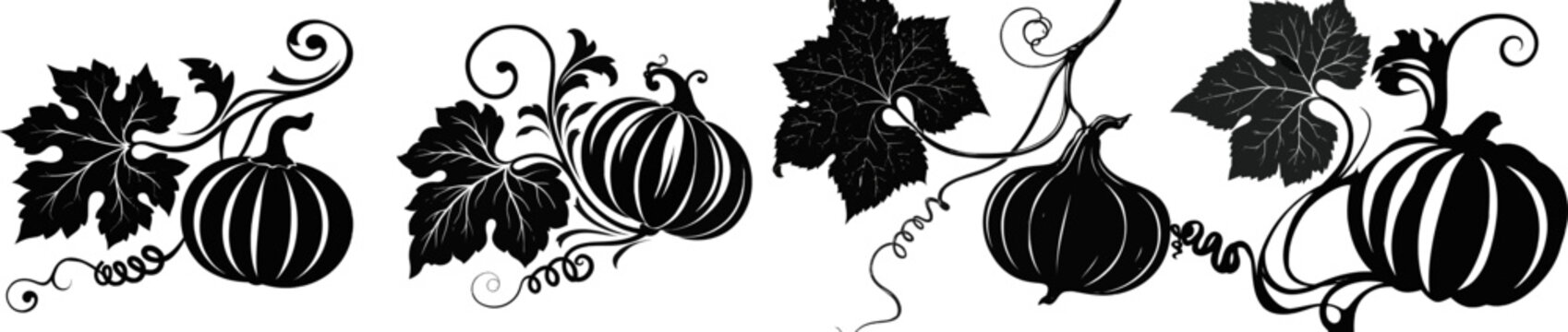 A striking black-and-white illustration of a pumpkin vine with large lobed leaves and coiled tendrils, set against an autumn harvest background