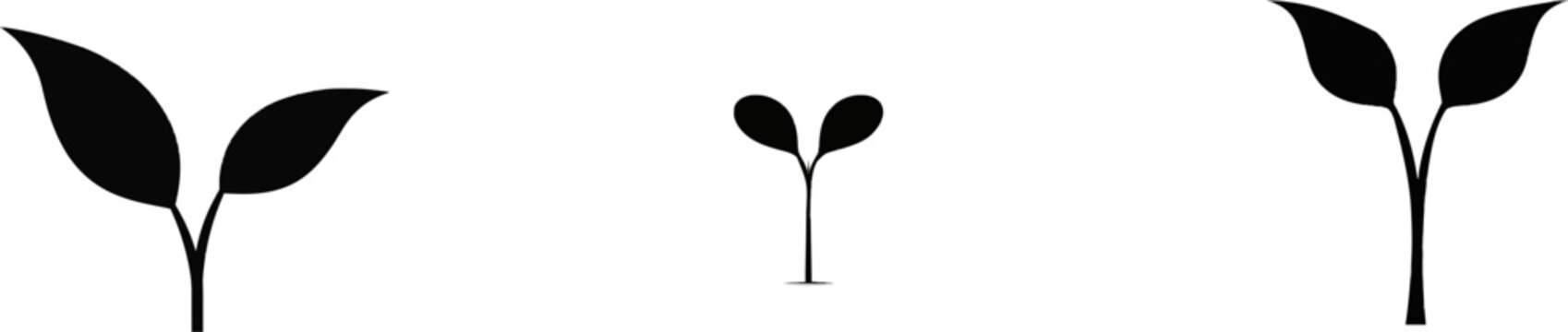 A minimalist black-and-white vector illustration of a delicate tree sapling with two leaves emerging from a straight stem, isolated on a solid white background