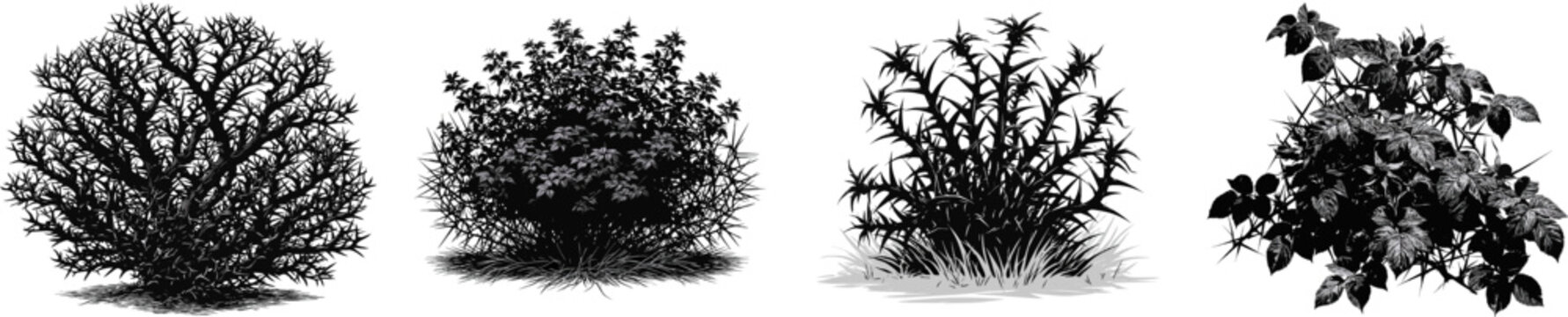 A menacing thorny briar patch bush, rendered in stark black and white vector art with sharp, aggressive lines against a solid white background, stands isolated and formidable