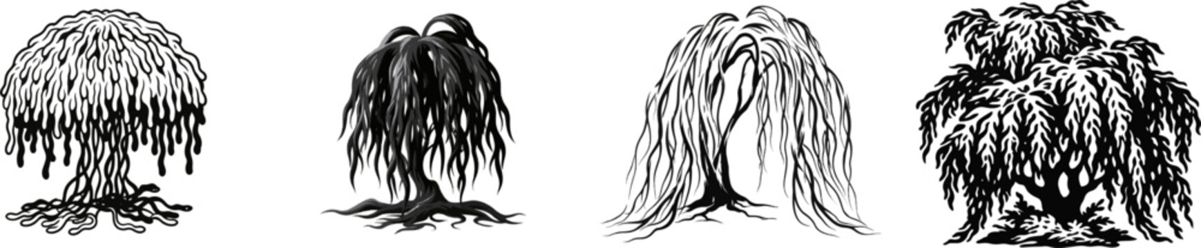 A weeping willow tree with trailing vines in black and white vector illustration, soft organic drooping lines, isolated on a pure white background