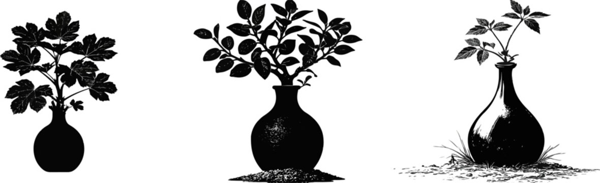 A young baobab tree sapling with its distinctive bottle-trunk architecture is showcased in this black and white vector illustration, isolated on a pure white background