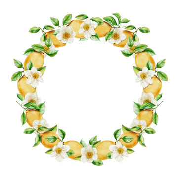 Round Frame with Lemons and Narcissus Elements. Circle Border of Citrus Fruits and Flowers for Invitations or Greeting Cards Creation. Mediterranean Greenery and Flower Blossom Composition.