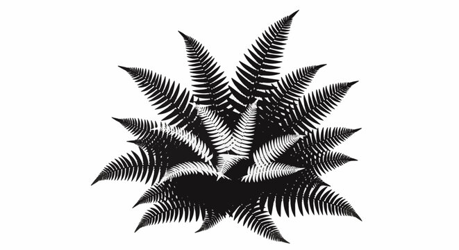 Solid black silhouette of a dense fern plant with multiple detailed fronds and leaflets arranged in a circular radiating pattern, isolated on a clean white background.
