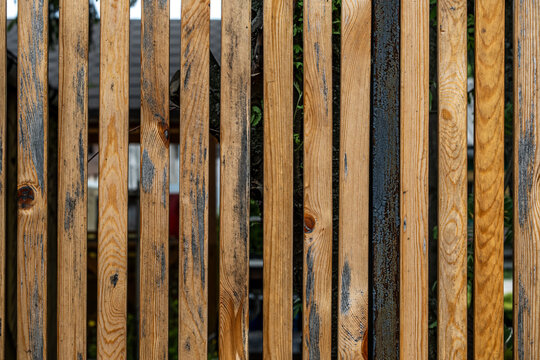 The fence is made of vertical wooden unpainted slats.