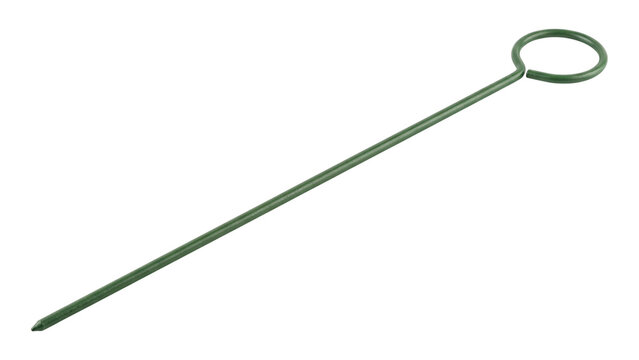 Long green plant support stake isolated PNG on transparent background, oval ring for flower stems