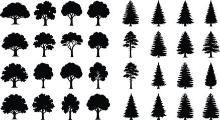 Vector Set of Diverse Tree Silhouettes Including Deciduous and Coniferous Pine Forest Elements © MdAminur