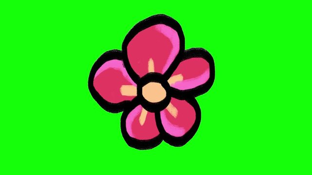 Hand-drawn pink flower doodle isolated on green screen background for cute cartoon blossom element concept.
