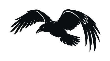 Fototapeta premium Black bird flying silhouette in mid air with wings spread wide on white background