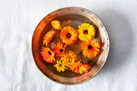 Fresh calendula marigold flowers floating in a bowl of water
