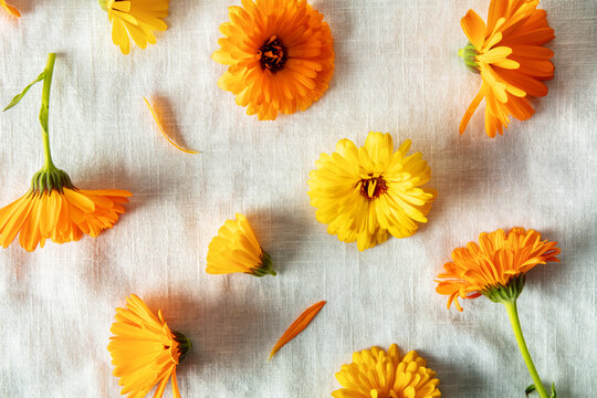 Top down pattern of fresh orange marigold flower heads