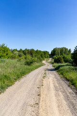 Fototapeta premium A country road on a sunny day