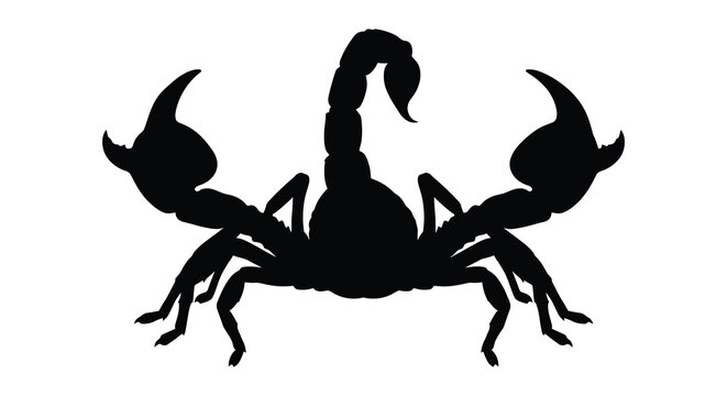A black silhouette of a scorpion with a curved tail and pincers on a white background silhouette scorpions