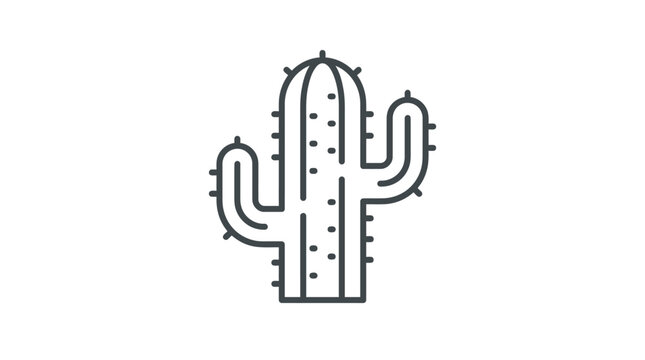 Cactus plant with sharp spines.
