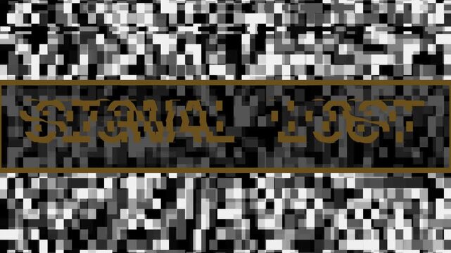 Abstract black and white pixelated noise pattern