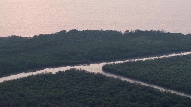 Aerial drone view over mangrove forest and winding waterways