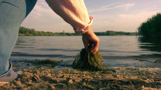 Woman playing with algae seaweed by side of lake