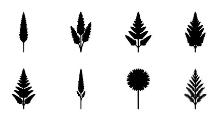 Fototapeta premium Nature plant icon set fern, leaf, dandelion outline, solid and color styles