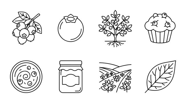 Fruit and food icon set blueberry, muffin, jam, farm outline, solid and color styles