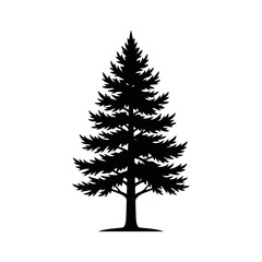 Pine tree, evergreen tree, conifer, black silhouette, vector icon isolated on White Background silhouette © Sarufa