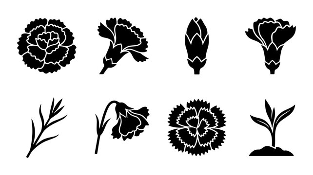 8 Flower linear icon set carnation bud stem plant, UI and web interface design
