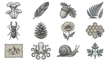 Organic nature sea and forest illustration set © agus