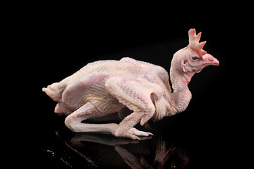 Raw Whole Chicken on Black Background - Fresh Poultry Meat © ChuThi