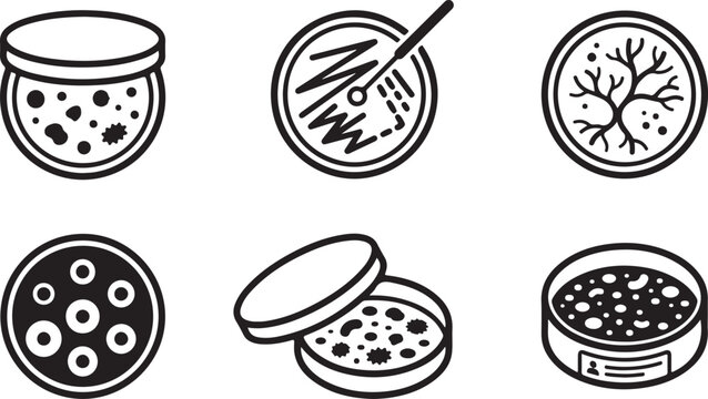 Six microbiology petri dish illustrations with bacteria and fungi growth Vector