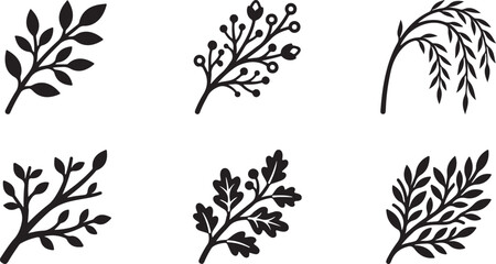 Fototapeta premium Six different black and white botanical leaf branch vector illustrations Vector
