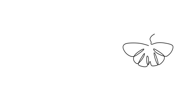 Animated self drawing of continuous line draw of  Butterflies Line Art Illustration Summer Azure, Orange Sulphur, Wild Indigo Duskywing. Full length one line animation. 4K   