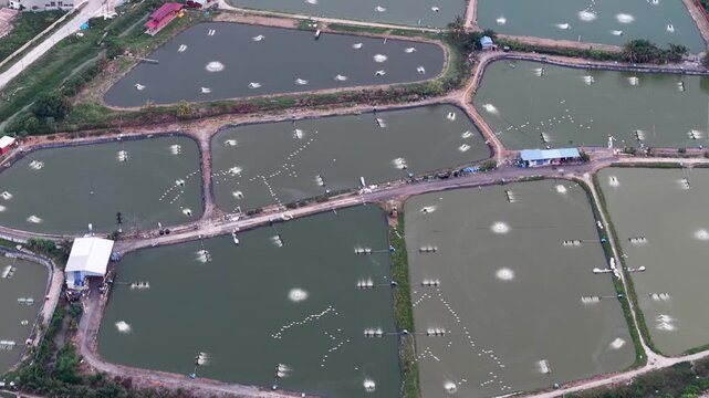 Aerial view of rectangular aquaculture ponds and paddlewheel aerators at Sungai Udang fish farm in Nibong Tebal.