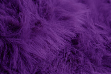 Fototapeta premium Deep vibrant purple fluffy faux fur textile material background with soft wavy pattern and texture