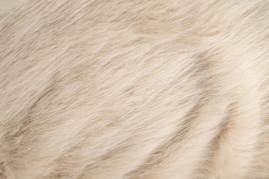 Detailed macro view of soft luxurious natural creamy white fluffy faux fur texture background