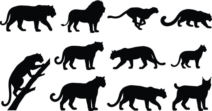 Big Cats Silhouette Set Including Lion Tiger Cheetah Panther and Lynx Isolated on White Background