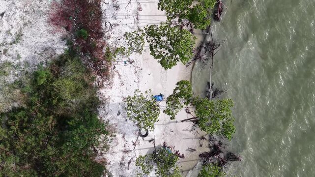 Aerial view of rubbish and mangrove beach debris