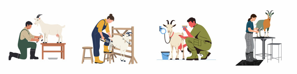 Set of flat illustrations depicting people performing various goat care tasks such as milking, shearing, hoof trimming, and grooming on a farm. © Muqodimatul