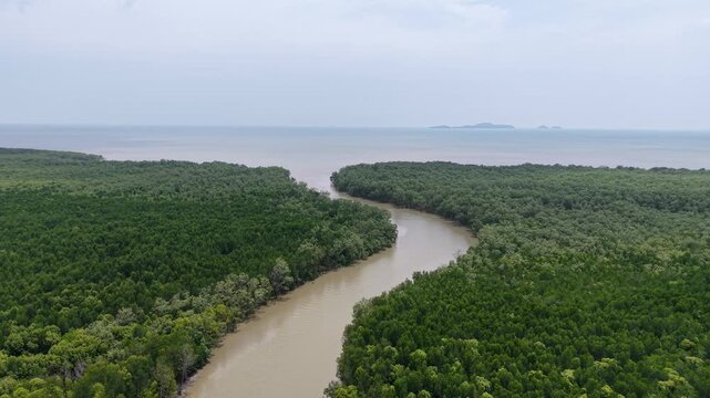 Aerial Drone View of Ayer Baloi Mangrove River Estuary