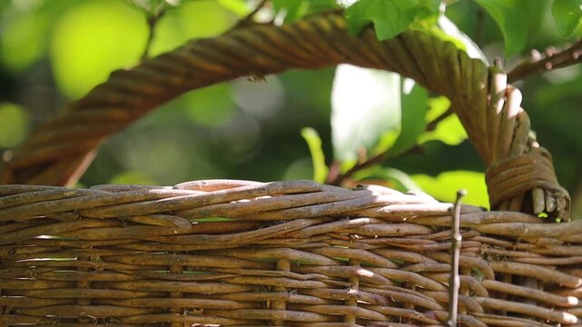 Woven wicker branch detail loop