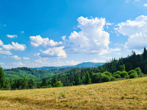 Summer landscape with hills and green Carpathians mountains in Slavske, Ukraine