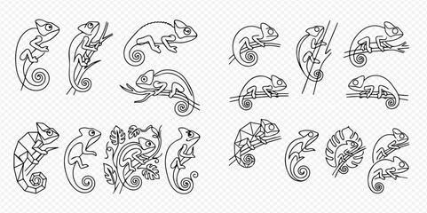 Set of chameleon line art icons, vector illustration of various chameleon poses and patterns, isolated on a transparent background. © Lunara Arts